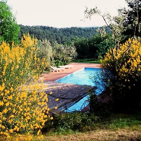 Lejlighed Brucianesi Sleeps 4 Pool Wifi T763518 *